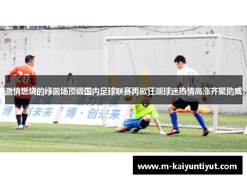 激情燃烧的绿茵场顶级国内足球联赛再掀狂潮球迷热情高涨齐聚助威