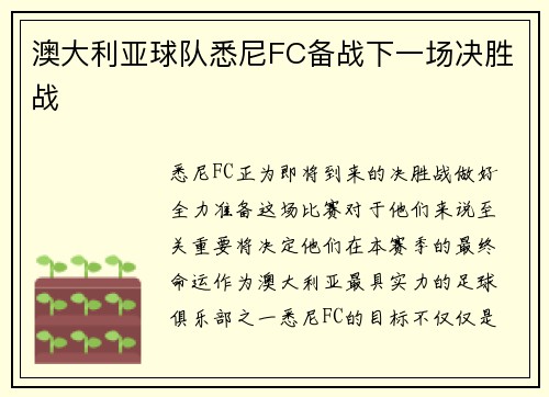 澳大利亚球队悉尼FC备战下一场决胜战