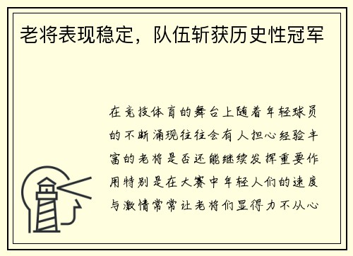 老将表现稳定，队伍斩获历史性冠军