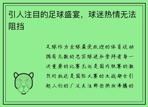 引人注目的足球盛宴，球迷热情无法阻挡