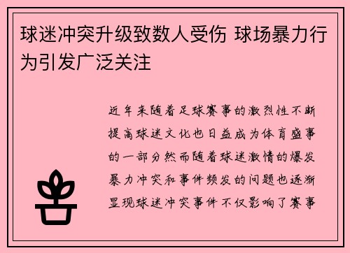 球迷冲突升级致数人受伤 球场暴力行为引发广泛关注
