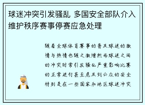 球迷冲突引发骚乱 多国安全部队介入维护秩序赛事停赛应急处理